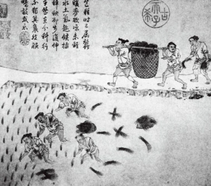 均田制：古代土地分配的智慧结晶