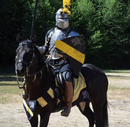 骑士九阶：从侍从到神印的荣耀进阶之路