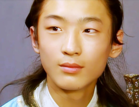 贾环：从边缘庶子到贾府余晖中的逆袭者