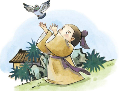 飞鸽传书：跨越时空的信息传递传奇