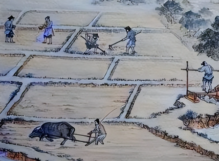 清代垦荒政策：如何用百年策略，让耕地面积实现惊人跃升？