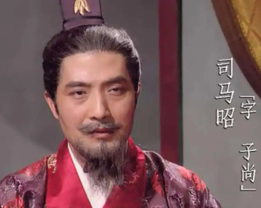 司马昭挥师灭汉，撬动天下格局的终极转折