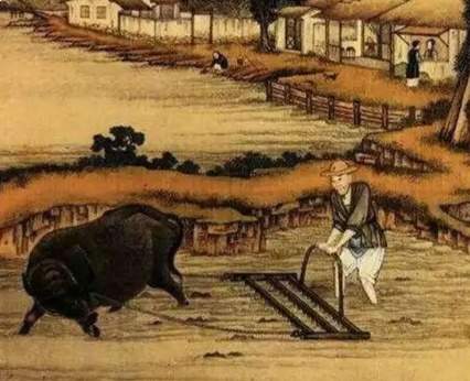 古代赋税的兴衰基石：均田制