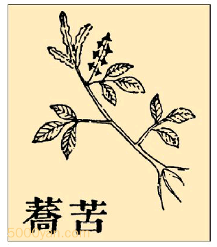 本草纲目·第九卷·谷部·苦荞麦具体内容是什么？