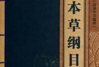 本草纲目·第十卷·菜部·山葱原文是什么内容？