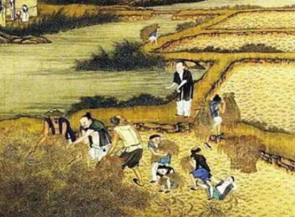 历史上曹魏兵力如何？规模有多大？