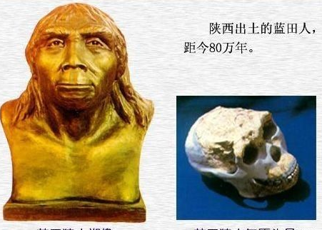 What does Lantian Man look like? What is their appearance?