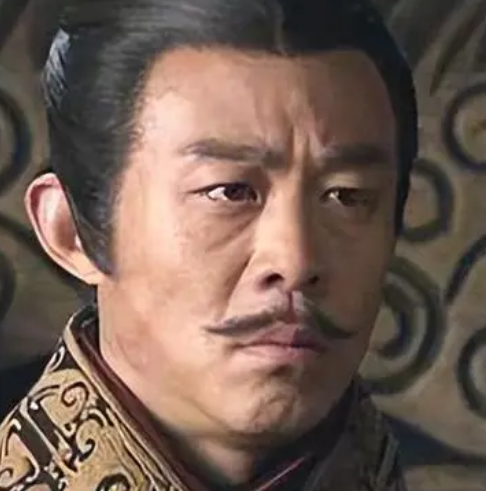 楚共王有几个儿子？历史上有详细记载吗？