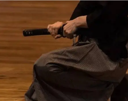 日本刀法是什么起源？有什么流派？