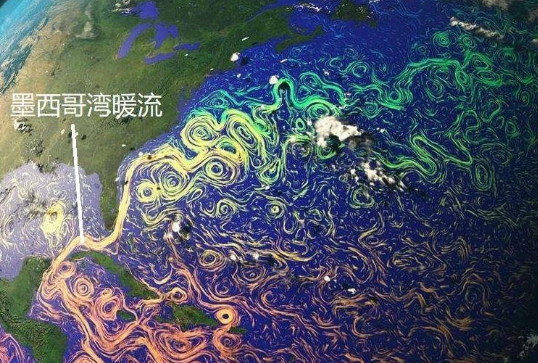 世界上最大的寒流是什么样的？叫什么名字？