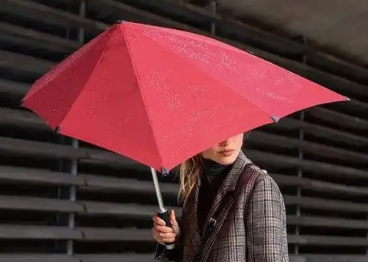 世界上最特殊的雨伞是什么？有何特殊之处？