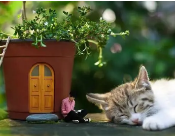 世界上最惬意的十件事是什么？有多惬意？