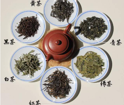 六大茶类指的是什么？有何特殊之处？