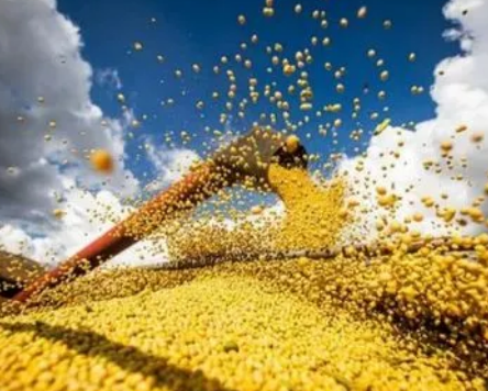 粮食产量最多的洲在哪里？占全球总产量的多少？