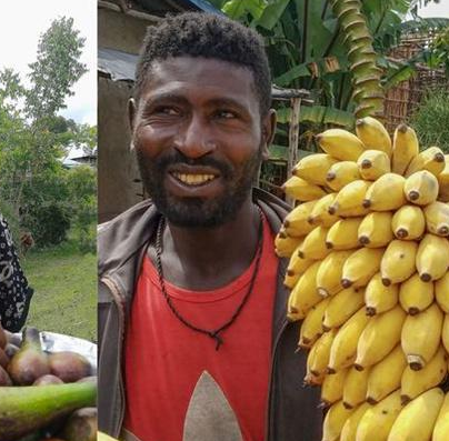 咖啡 枣椰 油棕 香蕉故乡在哪里？都有什么故事存在？