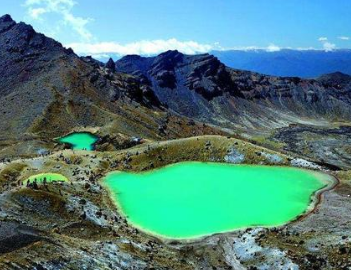 /mingxing/a496396.html