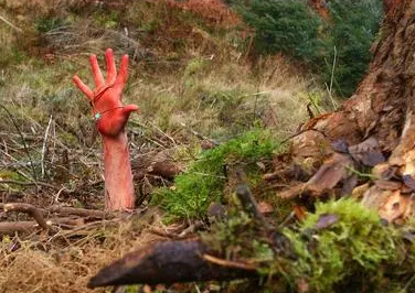 /mingxing/a496407.html