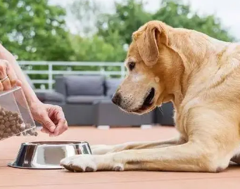 /mingxing/a496410.html