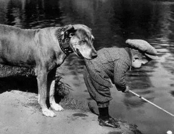 /mingxing/a496421.html