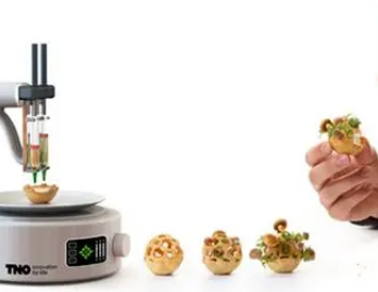 /mingxing/a496431.html