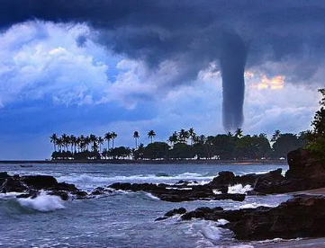 /mingxing/a496458.html