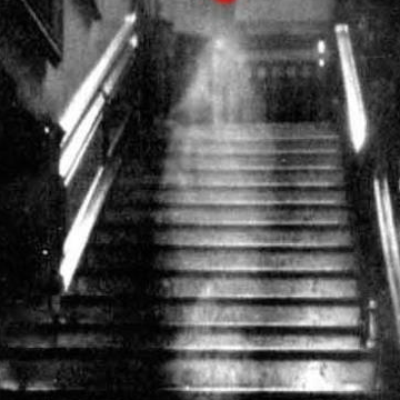 /mingxing/a497110.html