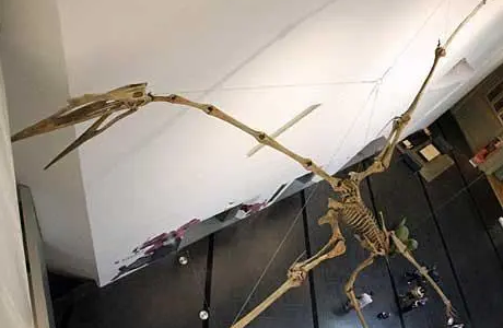 /mingxing/a497114.html