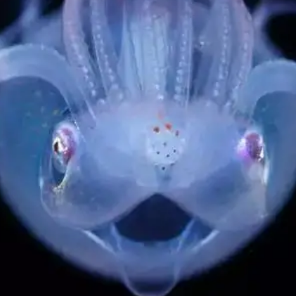 /mingxing/a497122.html