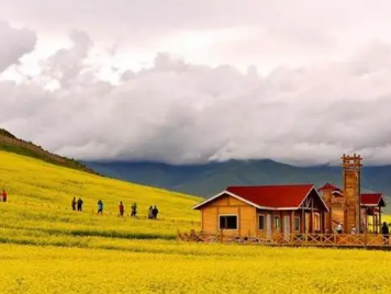 /mingxing/a498178.html