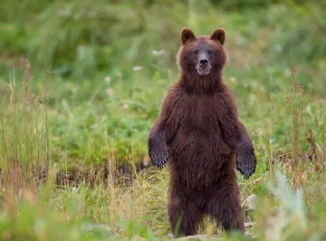 /mingxing/a498200.html