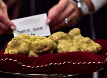 /mingxing/a498238.html