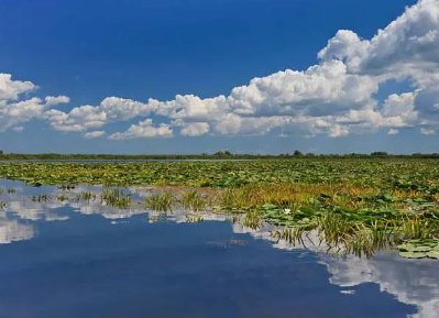 /mingxing/a498261.html