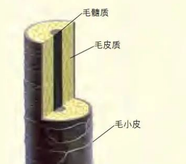 /lishi/v500293.html