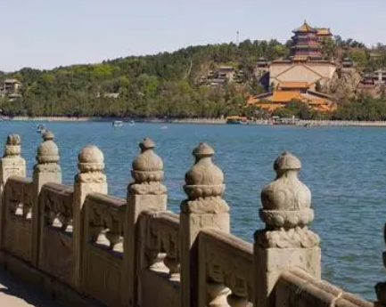 /mingxing/a502739.html