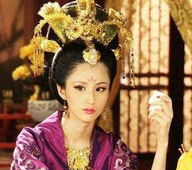 Who is Han Shufei and what kind of experience does she have?