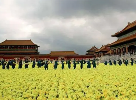 The Mysterious Connection between Huang Chao and Chrysanthemums
