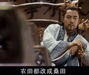 The Emperor Jiajing changed rice paddies to mulberry plantations: Strategic considerations behind economic transformation