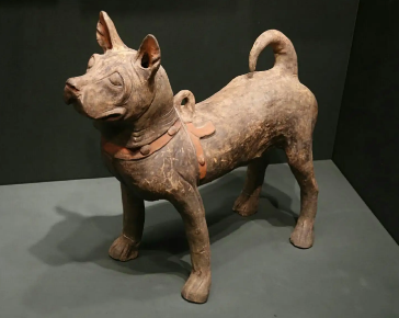 汉朝时期的狗是什么样子的？与现代的有何不同？