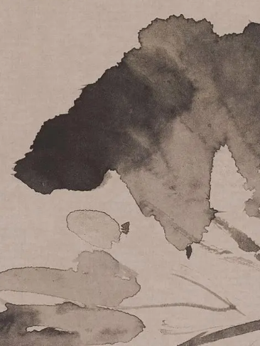 明代徐渭笔下的山水诗画——黄甲图