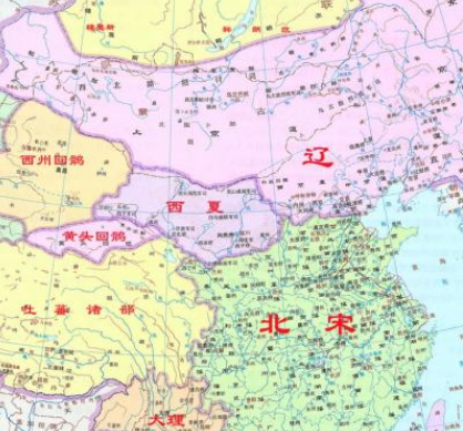金朝的辉煌与西夏的坚韧：一场历史的拉锯战