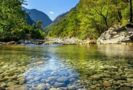 水至清则无鱼，人至察则无徒