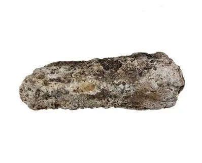 龙涎香是什么东西？中国古代是如何发现龙涎香的？