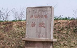唐德宗李适的皇后——王皇后是什么身份