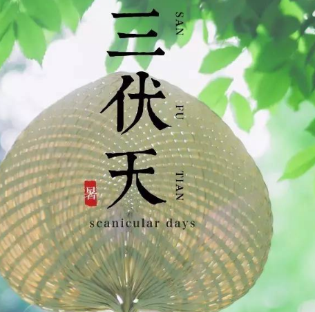 三伏天，从何时开始？时间是怎么计算的？