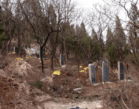 农村选坟的风水讲究，基本原则是什么样的？