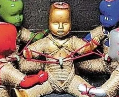 揭秘“养小鬼”：真实还是虚构？