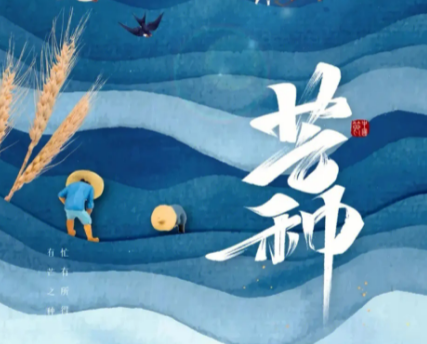 芒种节气有什么特点？又有哪些风俗？