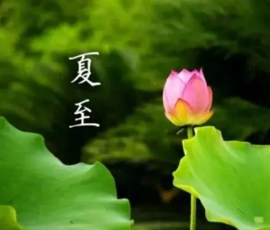夏至九九歌：古诗词中的夏日韵律