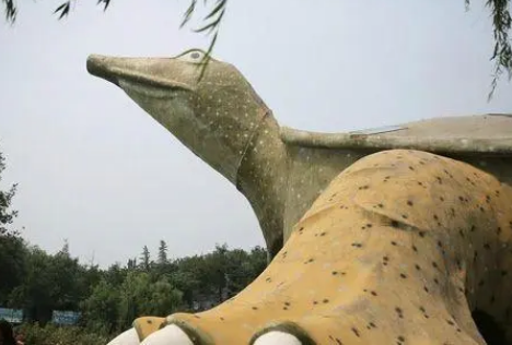 龟驮之城：临沂的别样魅力