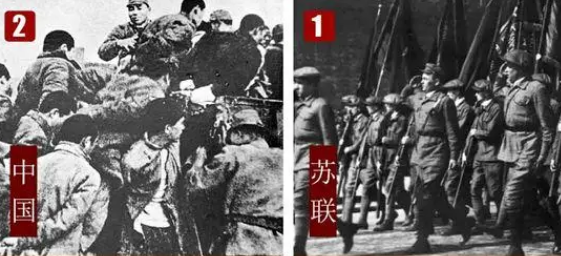 二战各国死亡人数排名：战争的残酷与人类的悲剧